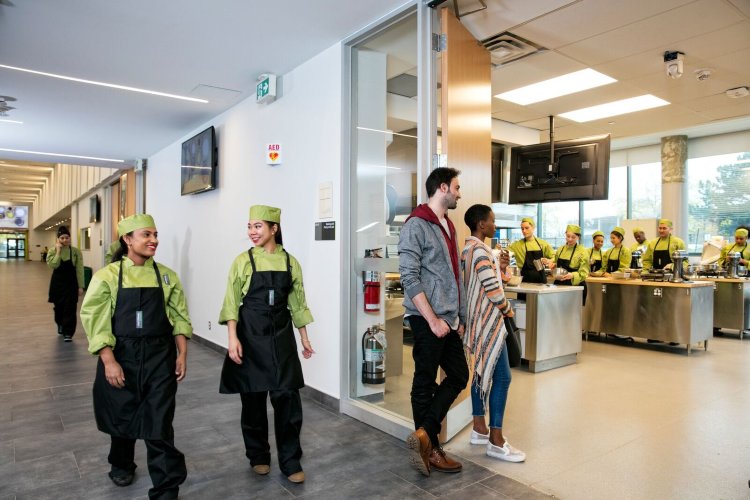 Сентенниал Колледж (Centennial College) Торонто
