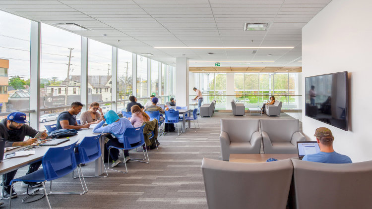 Хамбер Колледж (Humber College)