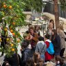 Школа Франс Ланг (Ecole France Langue), Ницца
