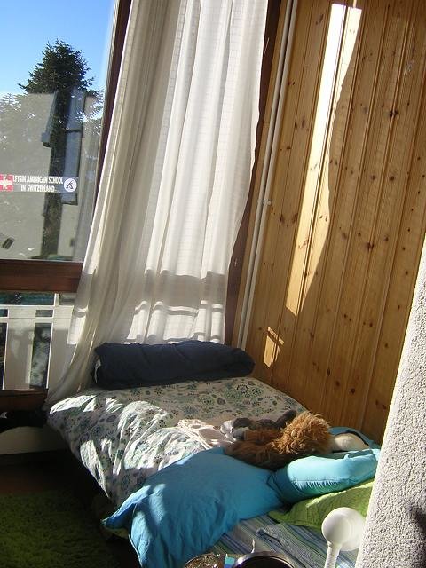 Лейзан Американ Скул (Leysin American School), Лейзан
