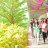 Университет Ноттингема в Малайзии (The University of Nottingham Malaysia)
